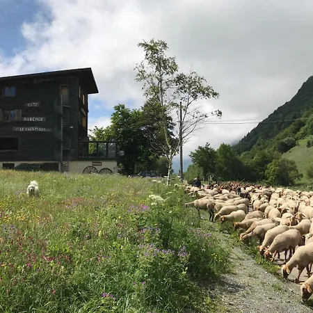 Chalet Le Chamois *