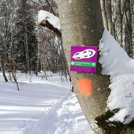 Le Chamois Chalet Les Sciauds