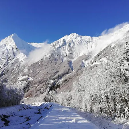 Le Chamois