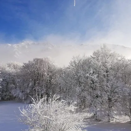 Chalet Le Chamois *